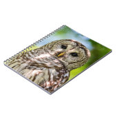 Carnet Chouette barrée (Côté gauche)