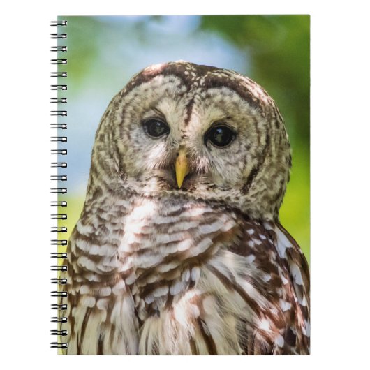 Carnet Chouette barrée (Devant)