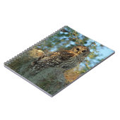 Carnet Chouette barrée dans une mousse espagnole (Côté gauche)