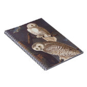 Carnet Chouette blanche neige Audubon lors d'une nuit nua (Côté Droit)