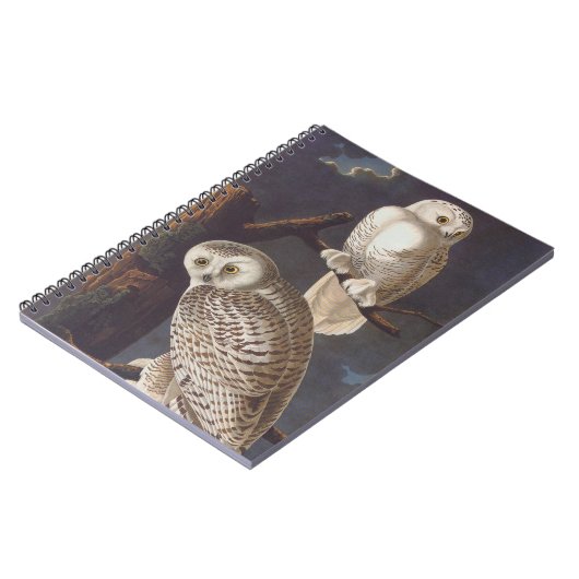 Carnet Chouette blanche neige Audubon lors d'une nuit nua (Côté gauche)