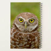 Carnet Chouette bractée (Verso)