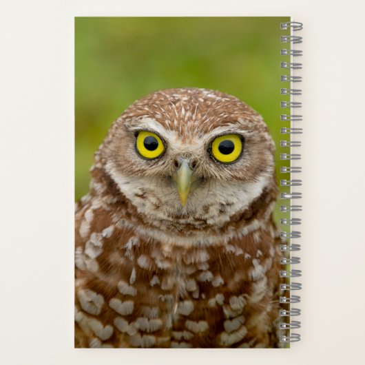 Carnet Chouette bractée (Verso)