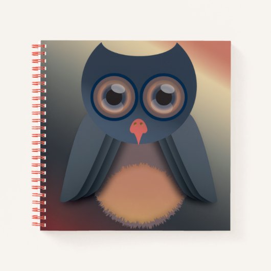 Carnet Chouette colorée (Devant)