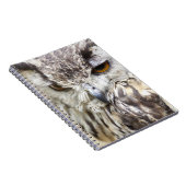 Carnet Chouette d'aigle du Bengale (Côté Droit)