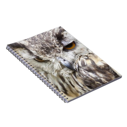 Carnet Chouette d'aigle du Bengale (Côté Droit)