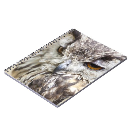 Carnet Chouette d'aigle du Bengale (Côté gauche)