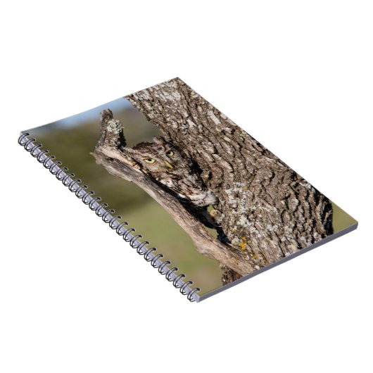 Carnet Chouette de l'Est (Côté Droit)