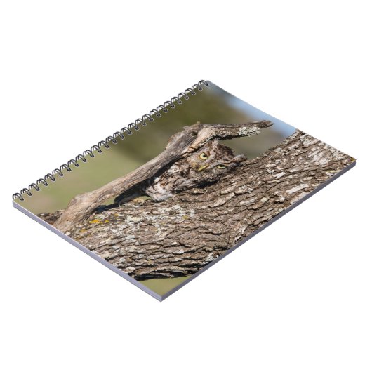 Carnet Chouette de l'Est (Côté gauche)