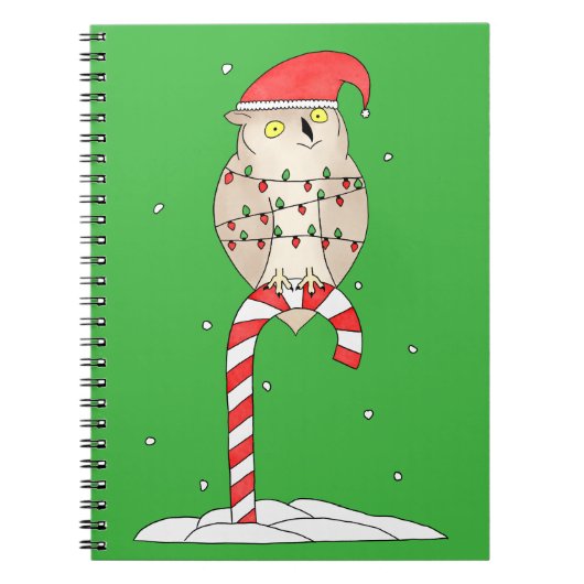 Carnet Chouette de Noël mignonne (Devant)