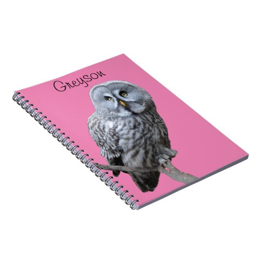 Carnet Chouette grise (Côté Droit)