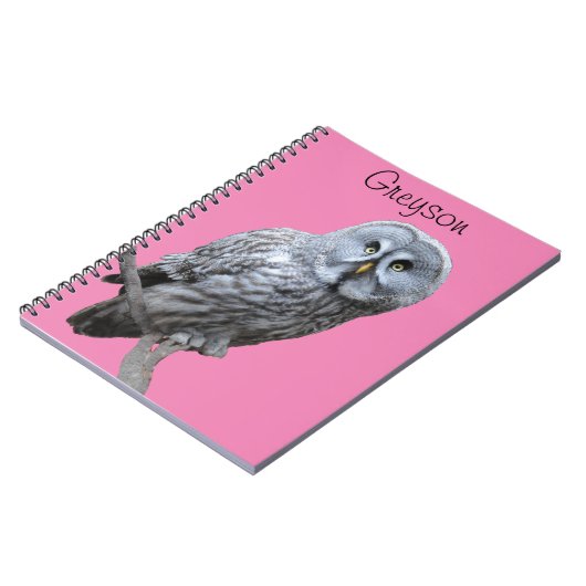 Carnet Chouette grise (Côté gauche)