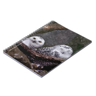 Carnet Chouette Harfang Couple Art Bois Faune