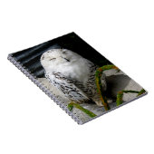 Carnet Chouette moelleuse (Côté Droit)