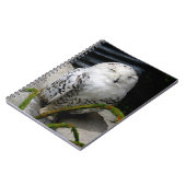 Carnet Chouette moelleuse (Côté gauche)