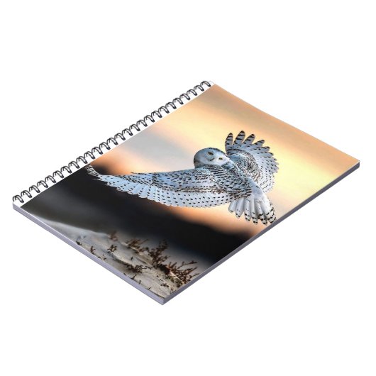 Carnet Chouette neige en vol (Côté gauche)