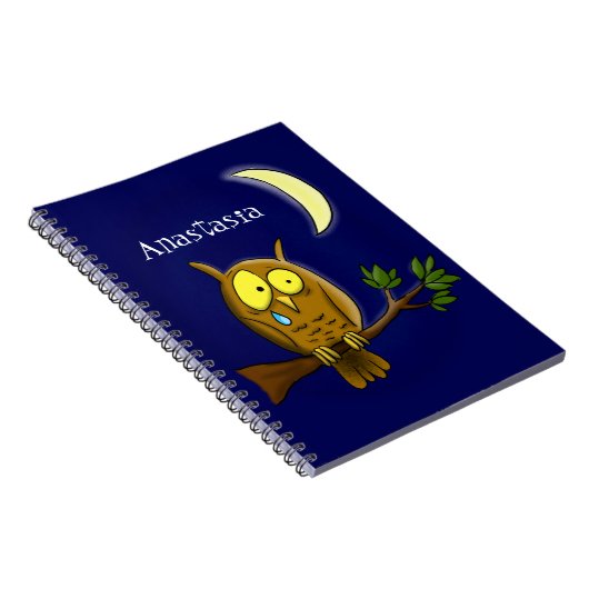 Carnet Chouette triste avec larmes et lune manquant ton d (Côté Droit)