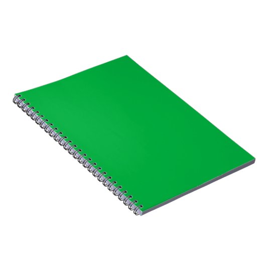 Carnet Chroma couleur clé vert (Côté Droit)