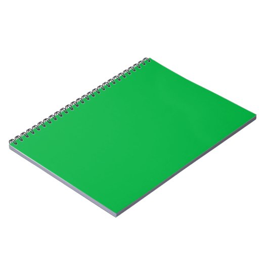 Carnet Chroma couleur clé vert (Côté gauche)