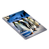 Carnet Chroniques de pingouins (Côté Droit)