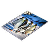 Carnet Chroniques de pingouins (Côté gauche)