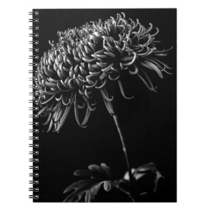 Carnet Chrysanthème