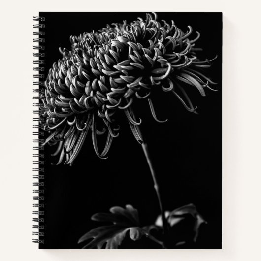 Carnet Chrysanthème (Devant)