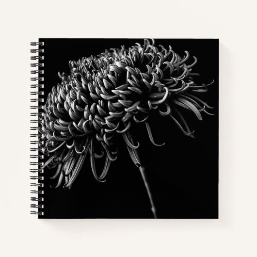 Carnet Chrysanthème (Devant)
