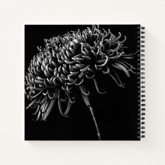 Carnet Chrysanthème (Dos)