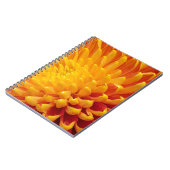 Carnet Chrysanthème jaune et orange (Côté gauche)