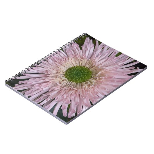 Carnet Chrysanthème rose fleuri (Côté gauche)
