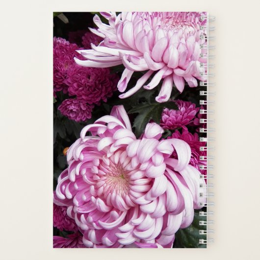 Carnet Chrysanthème rose fleurit Floral (Verso)