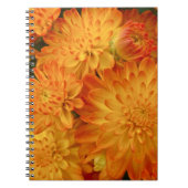 Carnet Chrysanthèmes orange Fire (Devant)