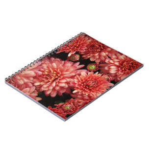 Carnet Chrysanthèmes rouges riches