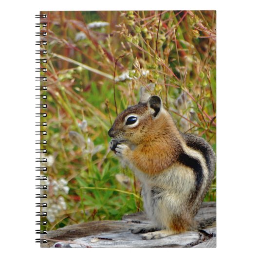 Carnet Chubby mignon chipmunk sur la souche de bois (Devant)