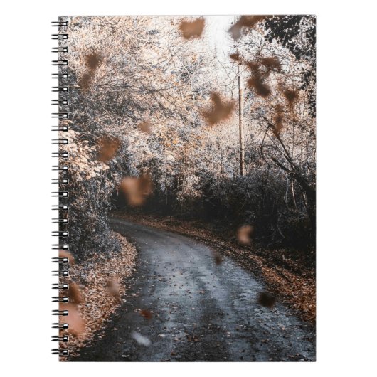 CARNET CHUTE DE FEUILLES SÉCHÉS (Devant)