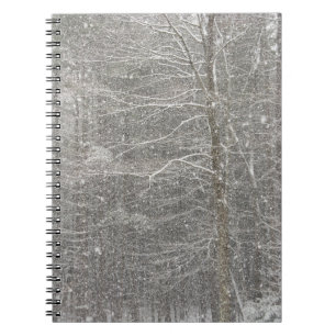 Carnet Chute de neige