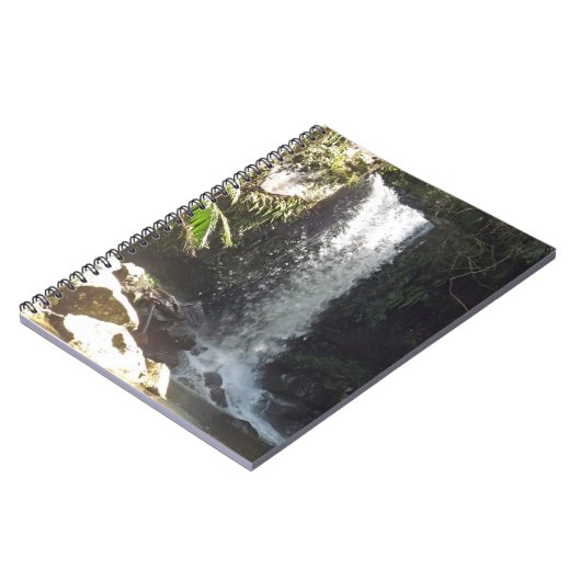 Carnet Chutes Curtis (Côté gauche)