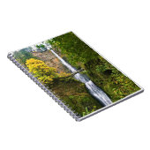 Carnet Chutes de Multnomah, gorge du Columbia, Oregon (Côté Droit)