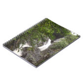 Carnet Chutes de Wairere (Côté gauche)