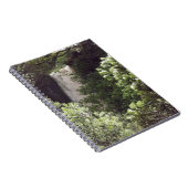 Carnet Chutes de Wairere (Côté Droit)