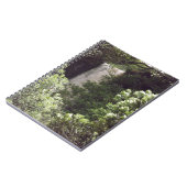 Carnet Chutes de Wairere (Côté gauche)