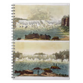 Carnet Chutes du Niagara, 1818 (gravure de couleur) (Devant)