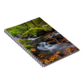 Carnet Chutes du ruisseau Starvation | Columbia Gorge, Or (Côté Droit)