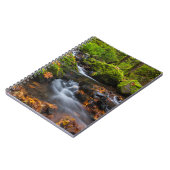 Carnet Chutes du ruisseau Starvation | Columbia Gorge, Or (Côté gauche)