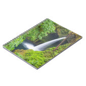 Carnet Chutes Metlako (Côté gauche)