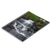 Carnet Chutes Onondaga (Côté gauche)
