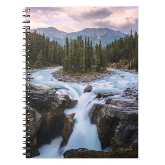 Carnet Chutes Sunwapta | Parc national Jasper (Devant)