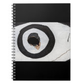 Carnet cible déchirée (Devant)