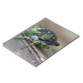 Carnet Cicada (Côté gauche)